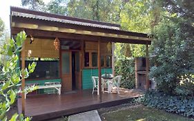 Las Cortaderas Bosque Peralta Ramos